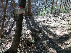 �L���ѓ��֏o��