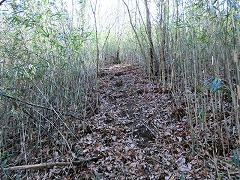 �ꏰ�R�ւ̓o�R��