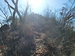 �ꏰ�R�R����