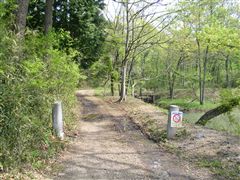 �V���������