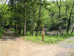 �P�߂̓��W�B����