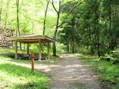 �Q�߂̓��W�Ɠ���