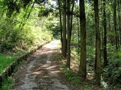 �ѓ����̓�