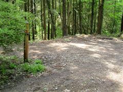 �R�߂̓��W�ɖ߂�