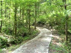 �����R���N���[�g�̓���