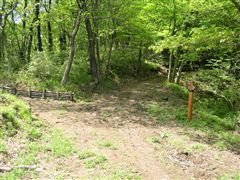 �S�߂̓��W�B�E��