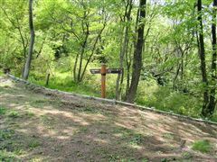 ������ɓ��Ɠ��W��