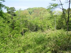 �R��������