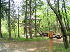 �����ƓW�]��