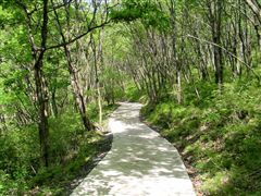 �܂��܂������R���N���[�g�̓�