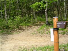 �P�߂̓��W�֖߂�