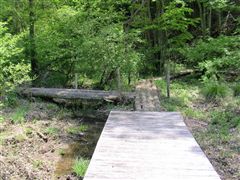 �؋������