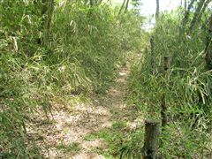 ���̌������ɏ���������