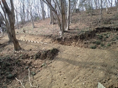 �����琼�̔����ɗV�������B