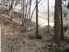 ���̔����ɂ��V�������B