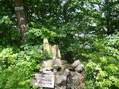 �R���̐��K