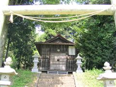 ���d�_��