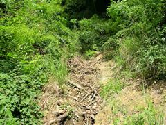 ����l�߂Ă䂭