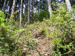 ����������������