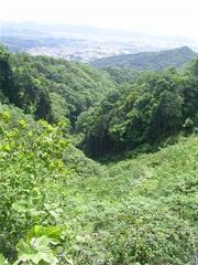 �o���Ă�����