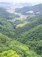 �o���Ă�����