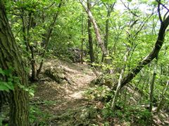 ����̔������B�Ԃ��e�[�v�𗊂�ɁE�E�E