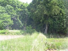 ���������R��