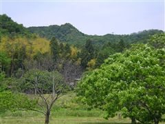 �U��Ԃ�΁A���v�ێR