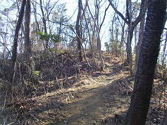 ���邢������