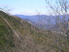 ���������R