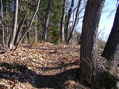 �ӂ��߂̃s�[�N