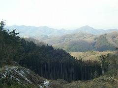 �k���̓W�]