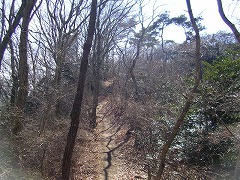 �n�s���R��