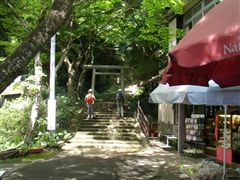 �����R�_�Ђ̎Q��