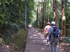 �ؗ��̎Q��