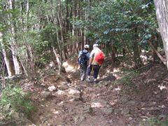 �R�����牺��