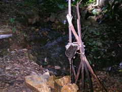 ���`����