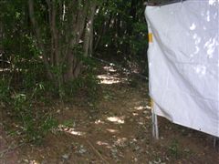 �^���p���m���[���N�_