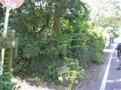 ���̏�������咆���̑O��