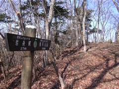 �R���ւ̓��W