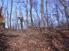 �R���܂ł�������