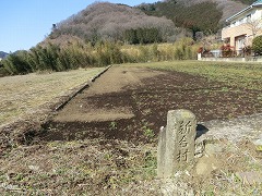 �V�����̕W��