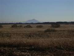 �}�g�R���]