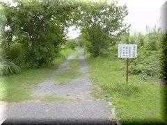 ���d�_�Г����