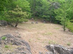 ��̂���L��