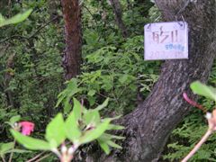 �R���̕W��