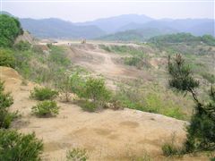 �L�X�Ƃ��������n