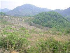 ������̖����n�H