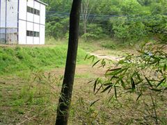 ���R���B�E��ɃN���}�K����B