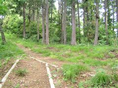 ����������̓��֍���